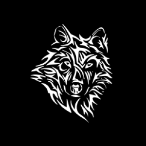 Wojewoda JAMZ Experience