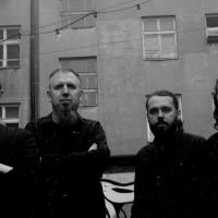 Fot.: Aleksandra Krucza